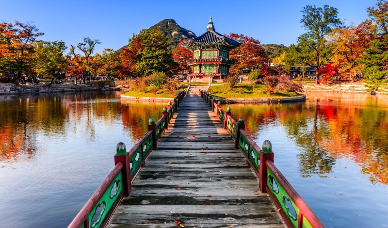 Best Tiles Manufacturer and Exporter in Korea