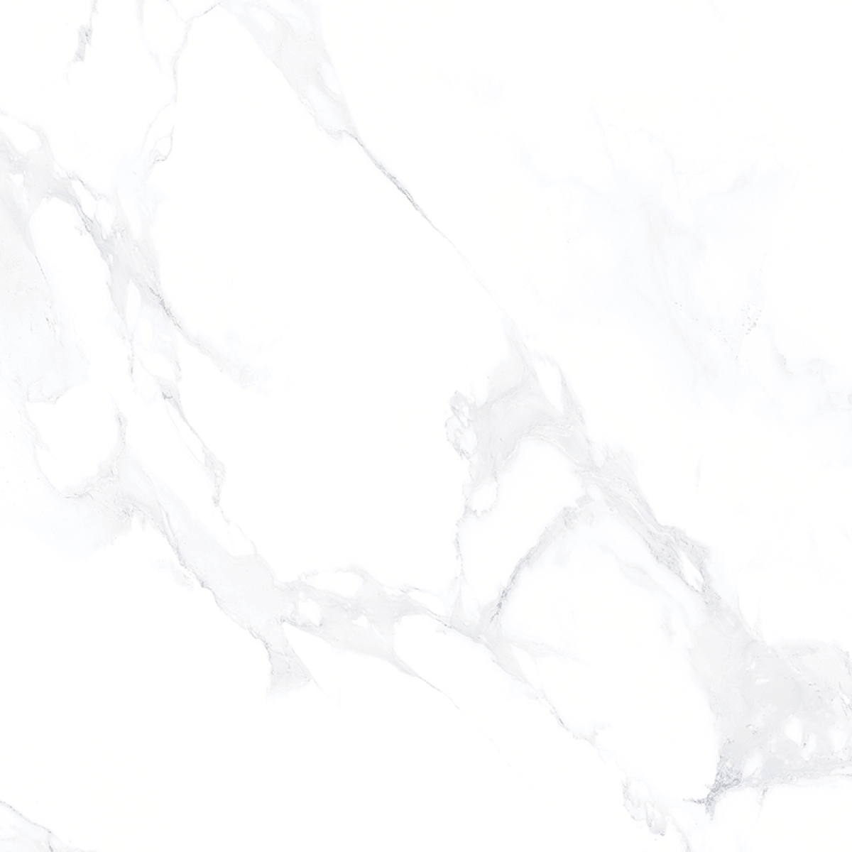 CARRARA GREY NEW
